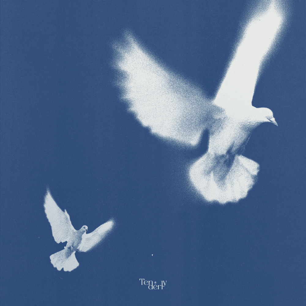 Tenderly official cover artwork