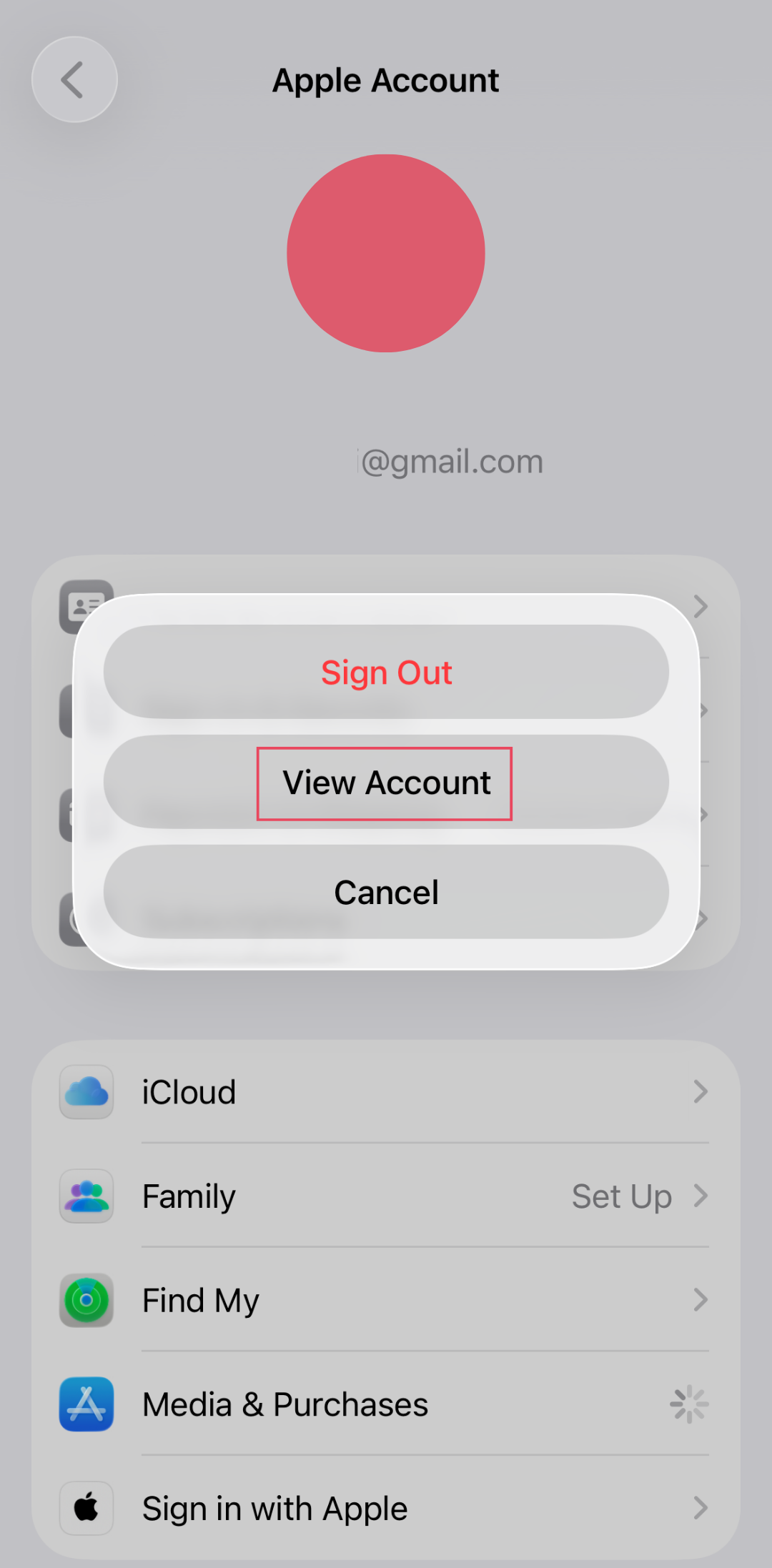 Media and Purchases menu with View Account highlighted