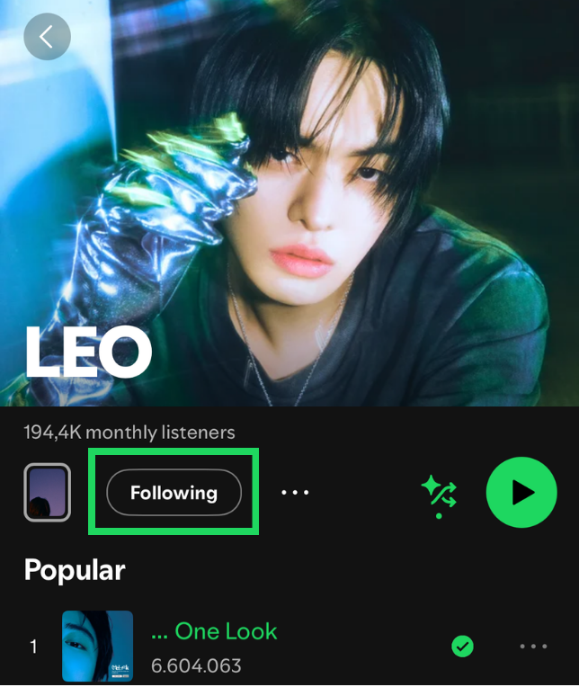 LEO’s Spotify artist profile with the Following button highlighted