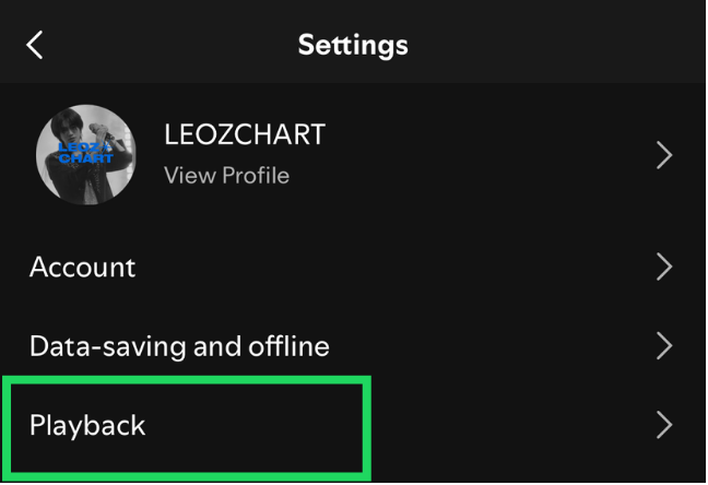 Spotify settings screen with Playback highlighted